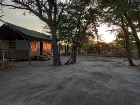Acacia Camp